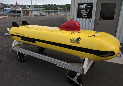 Минобороны Канады получило подводный аппарат в рамках госпрограммы