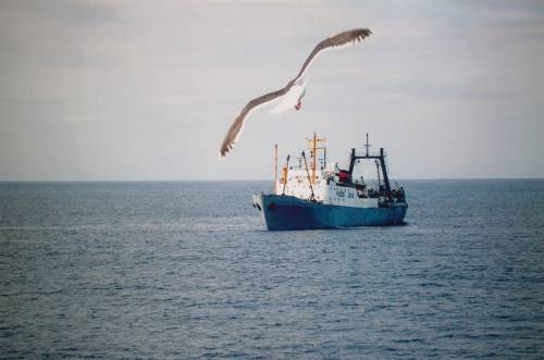 Приморские рыбаки получат 45 новых судов