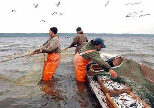 Подписано соглашение о создании Магаданского рыбопромышленного кластера
