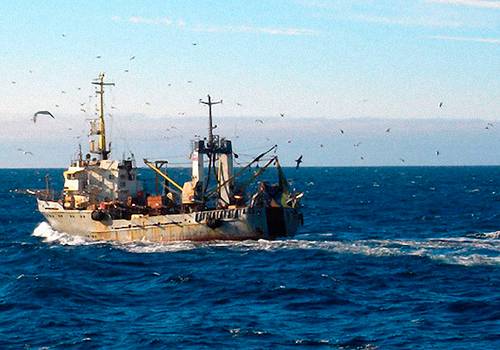 Число рыбопромысловых судов Приморского края выросло на 11 единиц