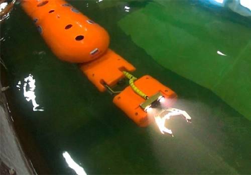 'Океанос' поспорил с ДВФУ по поводу первенства в создании подводного робота с манипулятором