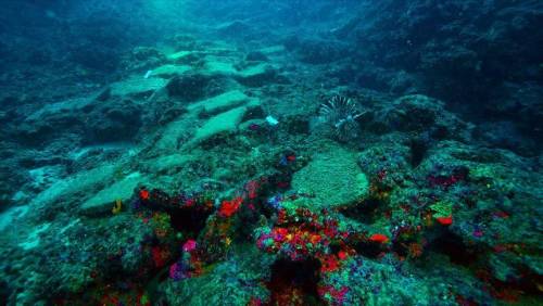 В Турции обнаружили затонувшее древнее судно с медными слитками