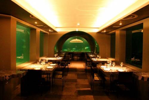 Крупнейшая верфь Шри-Ланки построила ресторан под водой