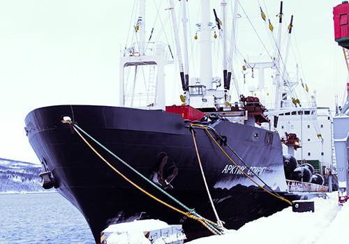 Мурманский морской рыбный порт принял судно с рекордным за путину грузом мойвы