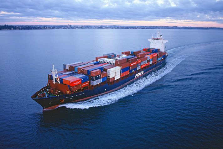 'Росатом' получил от государства пакет акций Дальневосточного морского пароходства
