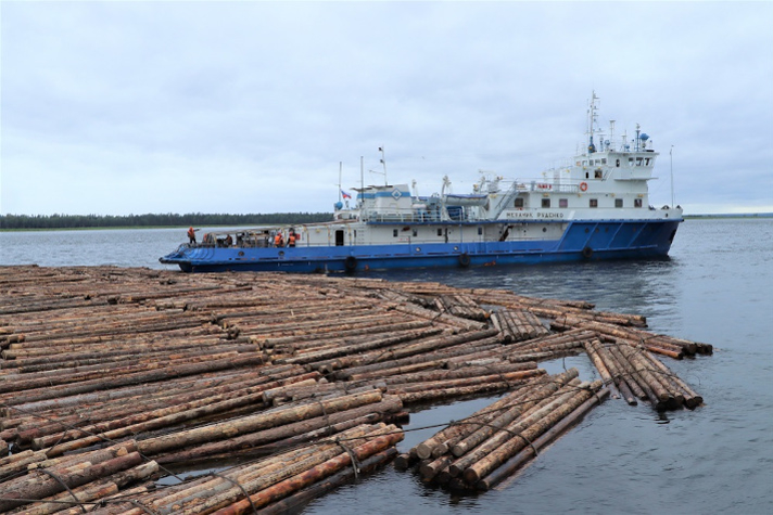 Енисейское речное пароходство увеличило на 20% перевозку леса в плотах