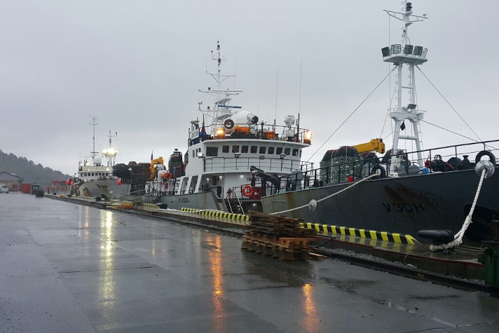 Более 2,6 км причалов прошли плановый ремонт в рыбных портах Приморья