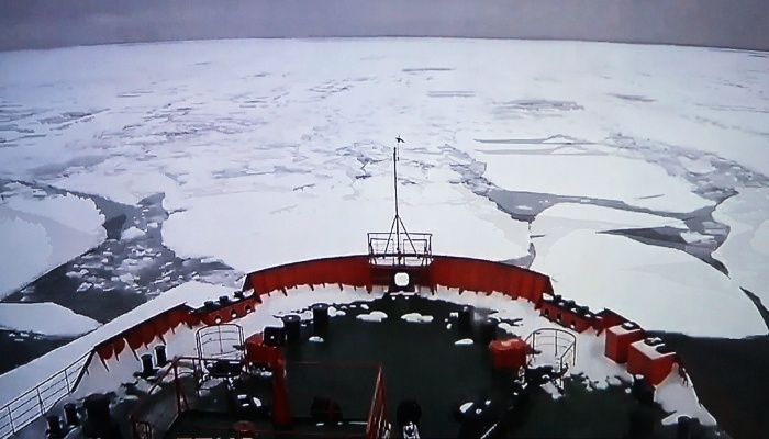 На форуме по Арктике взвесили перспективы транзита по Севморпути