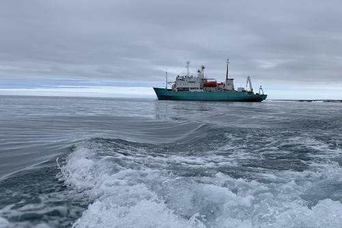 Участники экспедиции 'Арктический плавучий университет — 2022' изучили экосистемы северных акваторий