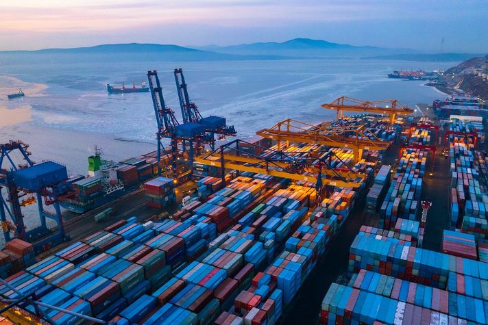 Владивостокский морской торговый порт установил новый недельный рекорд перевалки контейнеров