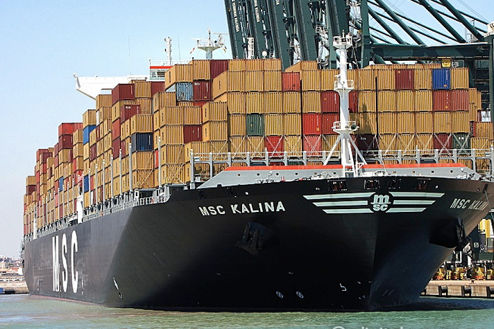 Контейнеровоз MSC Kalina / Фото: Igor Mak | Wikimedia, CC BY-SA 3.0