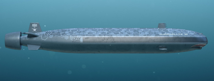 Подводный аппарат проекта "Суррогат-В"