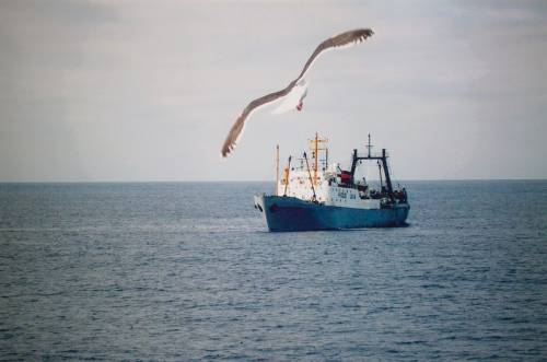База рыболовства в Находке получит траулер в лизинг