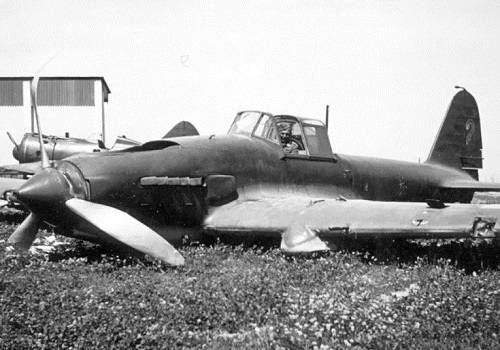 В Азовском море обнаружены останки самолета времен Великой Отечественной войны