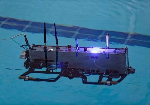 Дальневосточные подводные робототехники заняли второе место на чемпионате мира