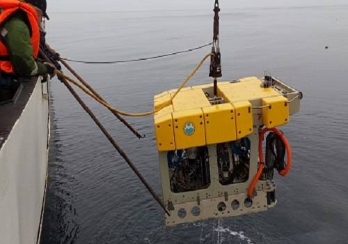 В ДВФУ создадут уникального автономного подводного робота