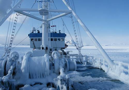 Россия и Норвегия могут перейти на общие стандарты по судоходству и рыболовству в Арктике
