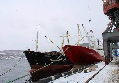 Из-за коронавируса грузооборот Мурманского рыбного порта вырос на треть