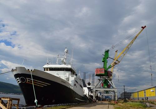 В Мурманском морском рыбном порту подвели итоги работы за полгода