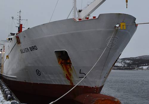 В Мурманском морском рыбном порту подвели итоги работы в октябре