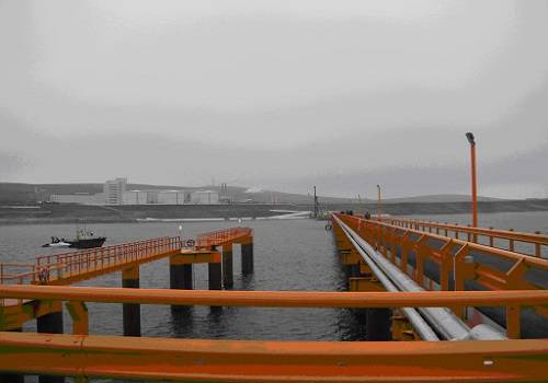 Экспорт наливных пищевых грузов через морские порты РФ вырос на 40%