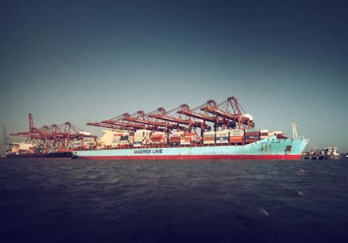Maersk временно приостановила работу с российскими грузами