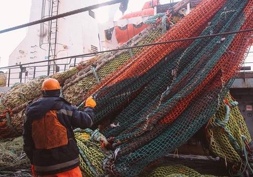 АСРФ исследовала финансовое состояние рыбной отрасли
