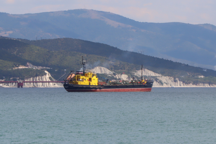 Суда с цифровым профилем получат приоритет при заходе в порты Азово-Черноморского бассейна