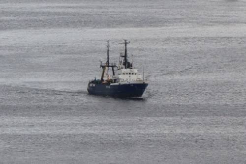 Эксперты оценили целесообразность ограничения срока эксплуатации рыболовных судов