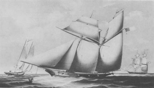 Найдено последнее трансатлантическое рабское судно