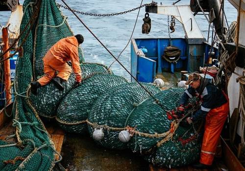 Российские рыбаки увеличили вылов на 9,4%