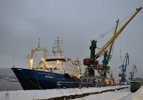 За 10 дней Мурманский рыбный порт принял более 6 тыс. тонн продукции