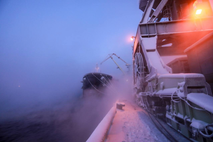 Итоги года: Мурманский морской торговый порт направил на развитие 1,2 млрд рублей