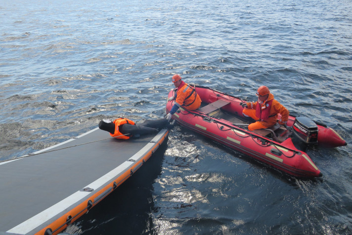 В Финском заливе прошло бассейновое учение по поиску и спасанию людей