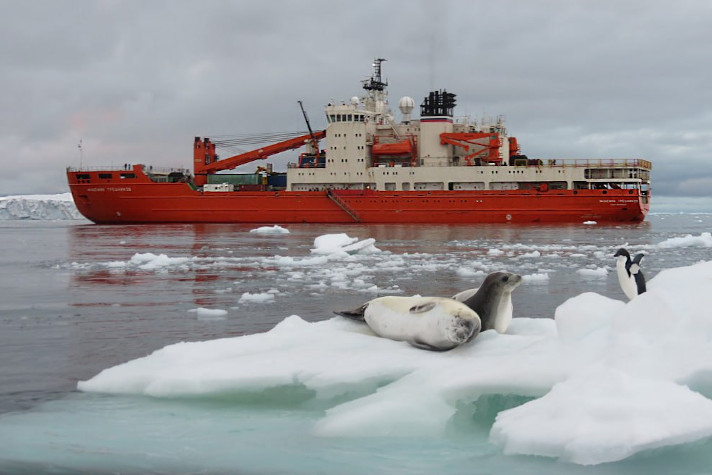 Научно-экспедиционное судно 'Академик Трешников' продолжает работу у берегов Антарктиды