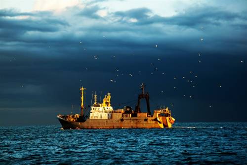 ГЛОНАСС и 'Гонец' станут спутниками рыбопромыслового флота