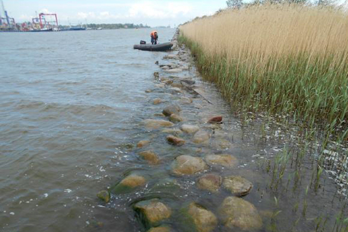 Получено положительное заключение экологической экспертизы на берегоукрепление дамбы в порту Калининград