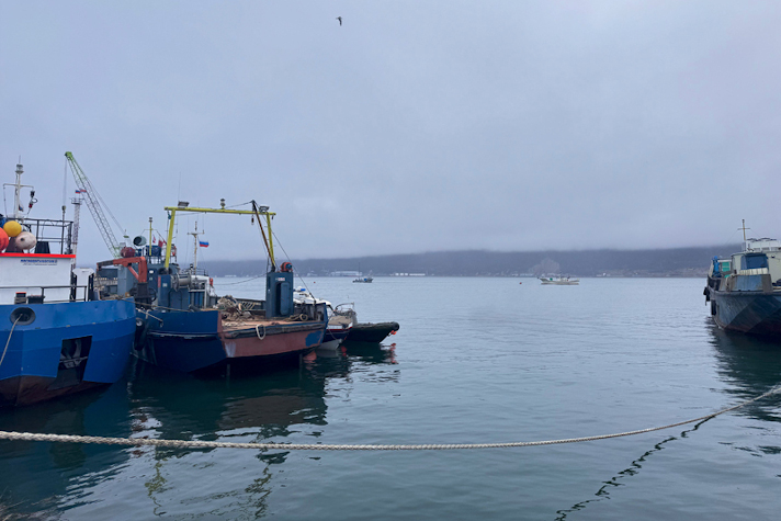 Руководство 'Росморпорта' осмотрело площадку строительства 'Рыбного порта Магадан'