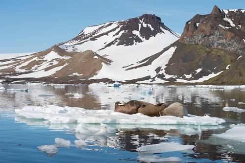 В Петербурге обсудят адаптацию к изменению климата в Арктике