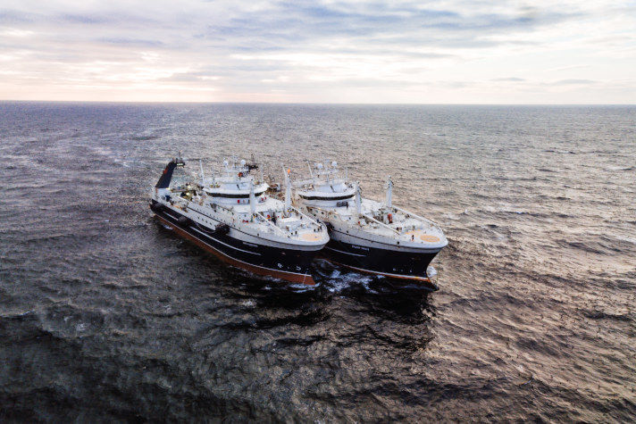 С начала года российские рыбаки добыли более 1,1 млн тонн рыбы и морепродуктов
