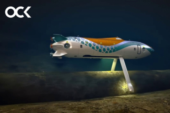 Конструкторское бюро ОСК 'Рубин' представит на 'Неве' проект кибернетической экосистемы